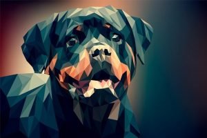 rottweiler quiz questions