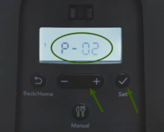 How to Adjust Dog Feeding Times When You Change Time Zones