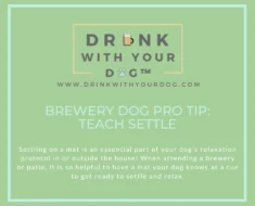 How to Extend Settle Duration for Dogs on a Mat With a Relaxation Protocol