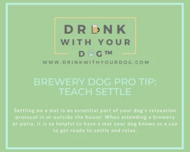How to Extend Settle Duration for Dogs on a Mat With a Relaxation Protocol