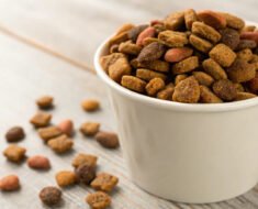 How to Measure Dog Kibble Portions Accurately Using a Kitchen Scale
