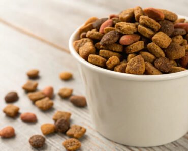 How to Measure Dog Kibble Portions Accurately Using a Kitchen Scale