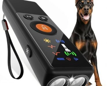 How to Prevent Barking at Tv Animals in Dogs With Desensitization Games
