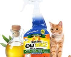 How to Prevent Urine Marking in Dogs Indoors After Moving to a New Home