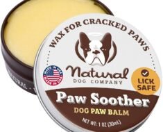 How to Prevent Winter Paw Cracks in Dogs With Pre Walk And Post Walk Care