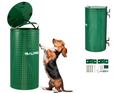 How to Set an Indoor Scent Trail for Dogs for Rainy Days Using Tea Bags