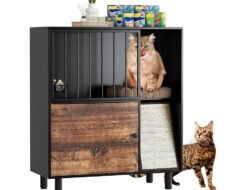 How to Set Up Separate Feeding Stations for Dogs And Cats in Small Homes