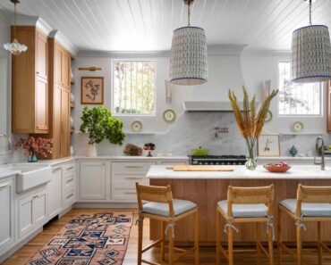 How to Stop Counter Surfing in Tall Breeds in Open Kitchens