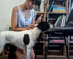How to Teach a Chin Rest to Dogs for Calm Vet Exams