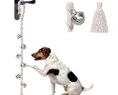 How to Teach Dogs to Ring a Potty Bell at the Door