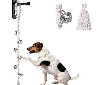 How to Teach Dogs to Ring a Potty Bell at the Door