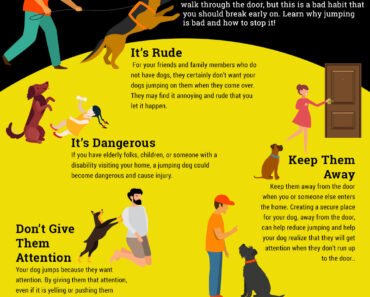 How to Train Calm Behavior around Children for Dogs Without Jumping